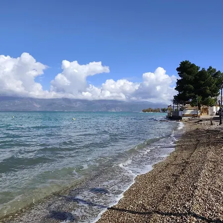 Panorama View *