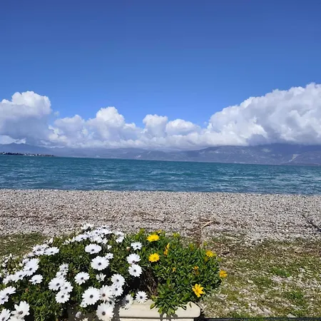 Panorama View * Aegium